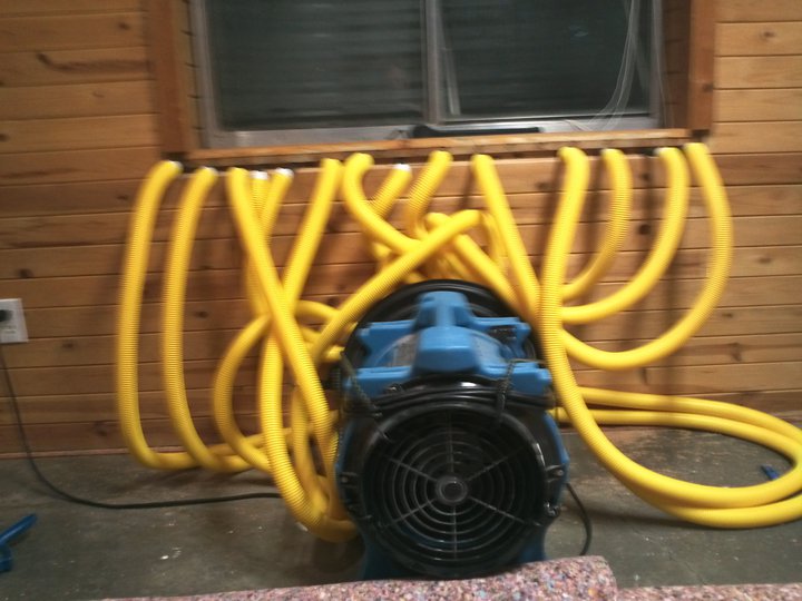 Alpine Professional Carpet Care Provo Carpet Cleaning Wall Drying